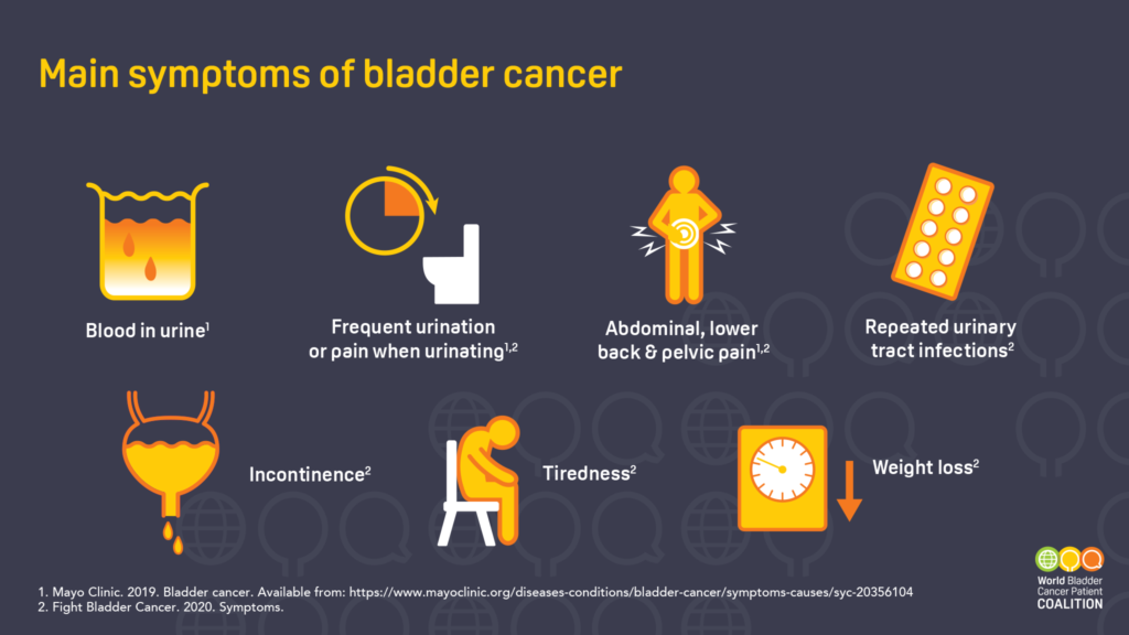 Bladder Cancer Symptoms and Signs Infographic