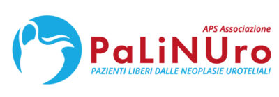 Palinuro logo